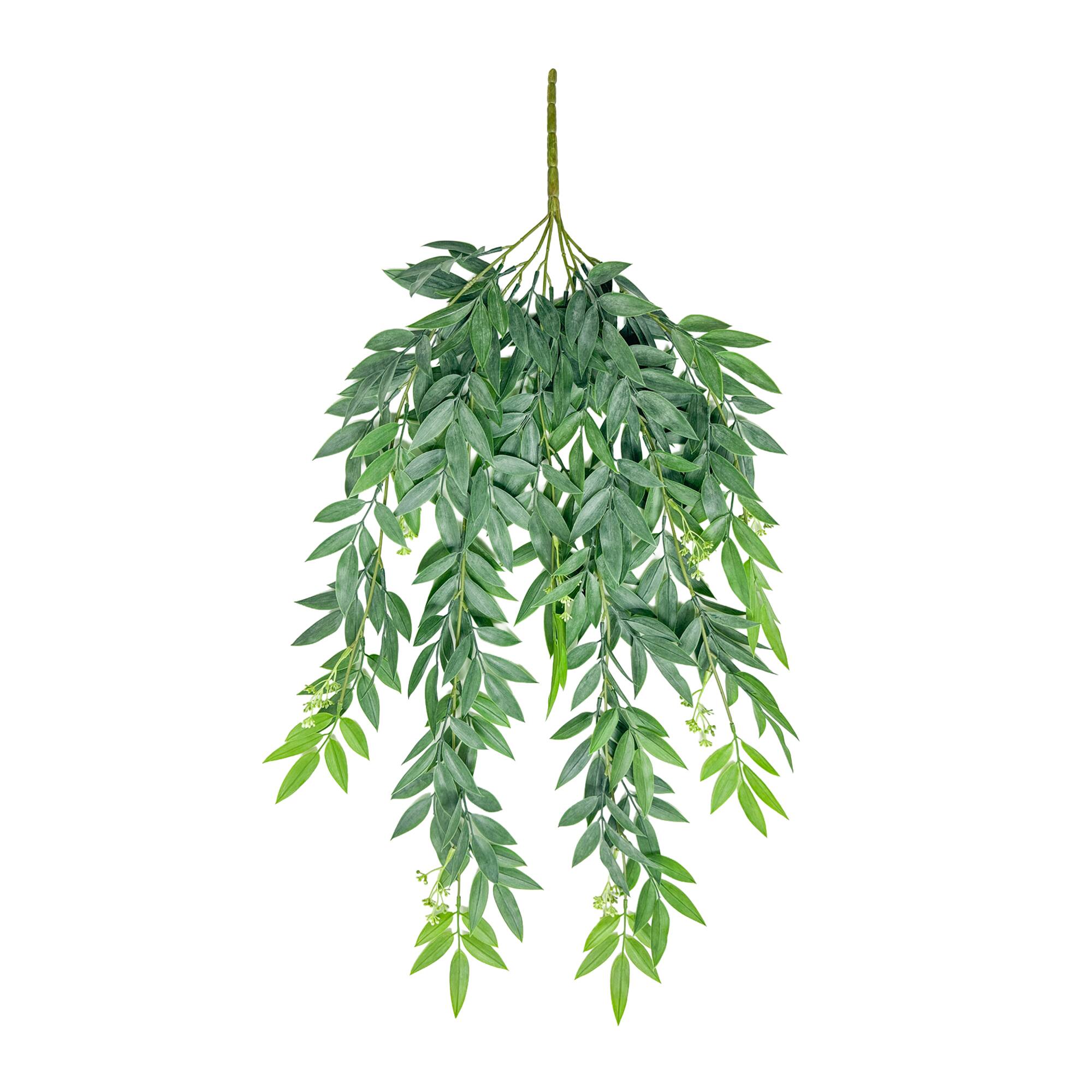 31" Hanging Ruscus with Berry Bush by Ashland®